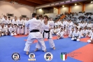 Karate - Stage S. Sanchez J. Del Moral_249