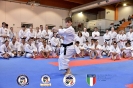 Karate - Stage S. Sanchez J. Del Moral_256