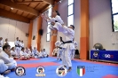 Karate - Stage S. Sanchez J. Del Moral_260