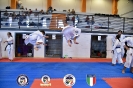 Karate - Stage S. Sanchez J. Del Moral_262