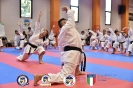 Karate - Stage S. Sanchez J. Del Moral_265