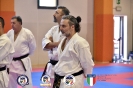 Karate - Stage S. Sanchez J. Del Moral_279