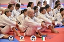 Karate - Stage S. Sanchez J. Del Moral_284