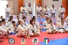 Karate - Stage S. Sanchez J. Del Moral_285