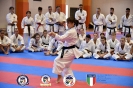 Karate - Stage S. Sanchez J. Del Moral_296