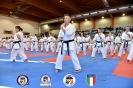Karate - Stage S. Sanchez J. Del Moral_32