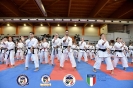 Karate - Stage S. Sanchez J. Del Moral_33