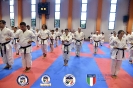 Karate - Stage S. Sanchez J. Del Moral_58