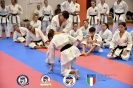 Karate - Stage S. Sanchez J. Del Moral_64