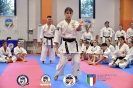 Karate - Stage S. Sanchez J. Del Moral_73
