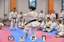 Karate - Stage S. Sanchez J. Del Moral_74